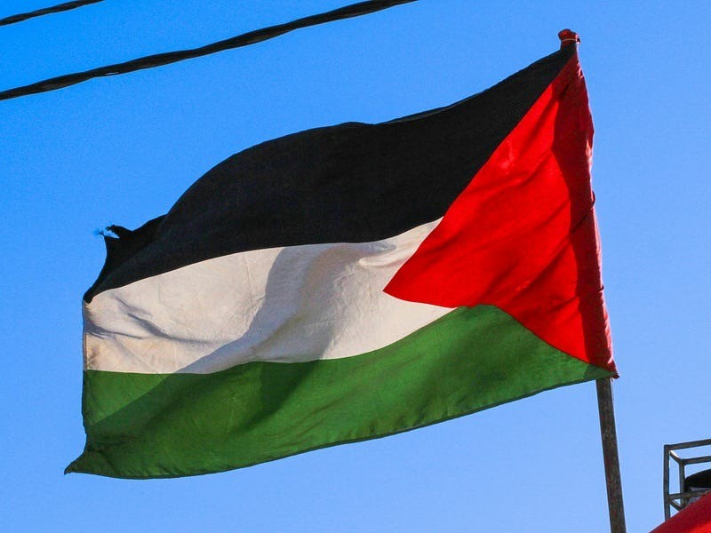 Palestine flag